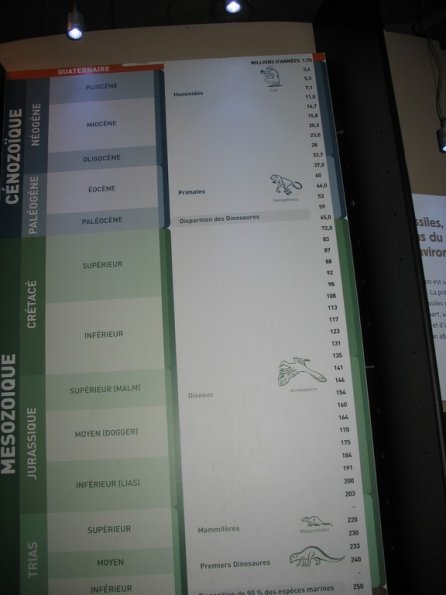 2019 Hauts de France - Lille (73) (Copier)